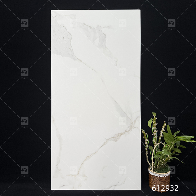 60x120 Calacatta Gold White Marble Look Matte Porcelain Tiles for Floor Matt Carreau De Maison