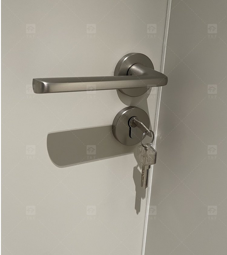 Modern Nordic Minimalist Villa School Interior Door Lock Zinc Alloy Silent Lever Lock Multi-color Easy Installation Home Door