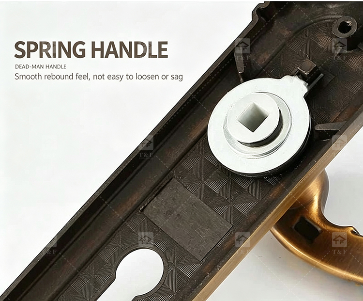 Modern Door Lever Handle Set Scroll Engraved Lock 304 Stainless Steel Brass Finish Easy Installation Hotel Apartment Use